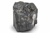 Lustrous Black Tourmaline (Schorl) Crystal - Madagascar #217280-1